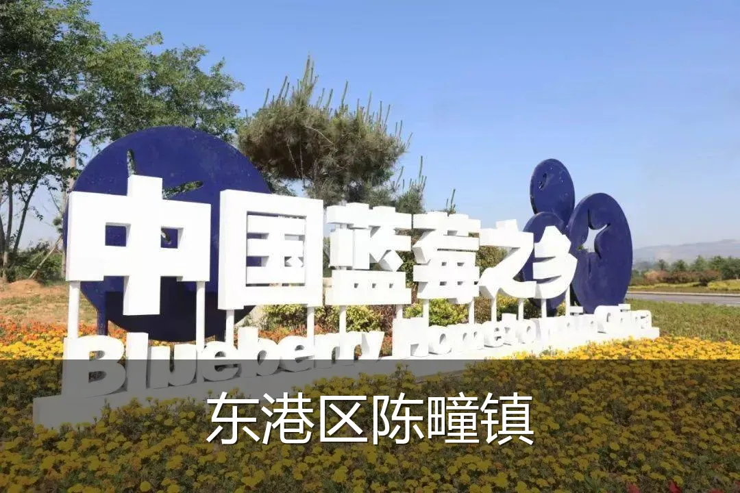 东港区陈疃镇